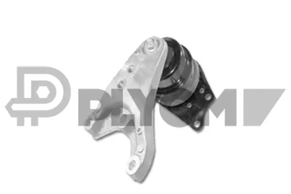 Support moteur PLYOM P461132
