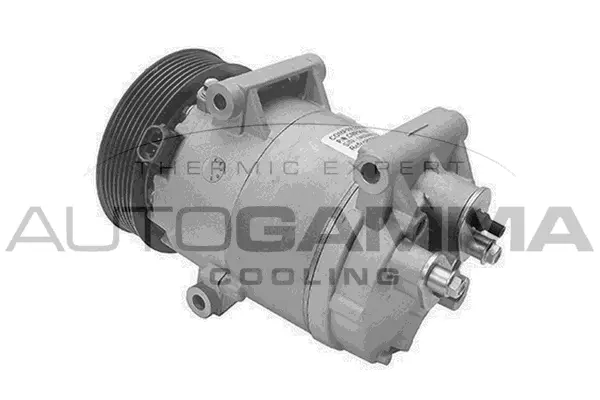 Compresseur, climatisation AUTOGAMMA 108064