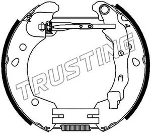 Jeu de mâchoires de frein TRUSTING 6396
