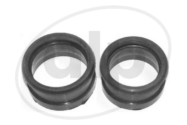 Gaine de suralimentation alp ALP-002118
