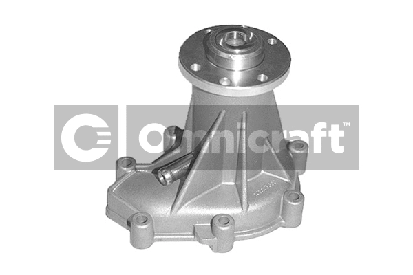 Pompe à eau, refroidissement du moteur Omnicraft 2317161