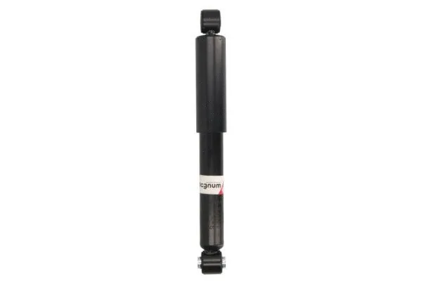 Amortisseur Magnum Technology AGF095MT