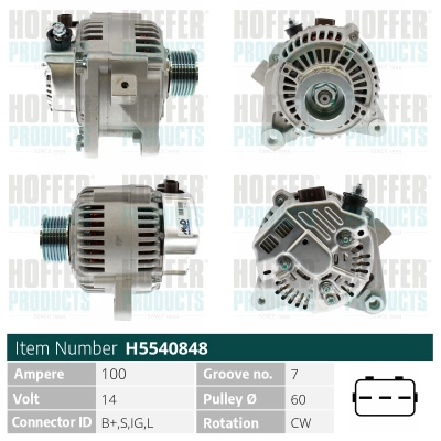 Alternateur HOFFER H5540848