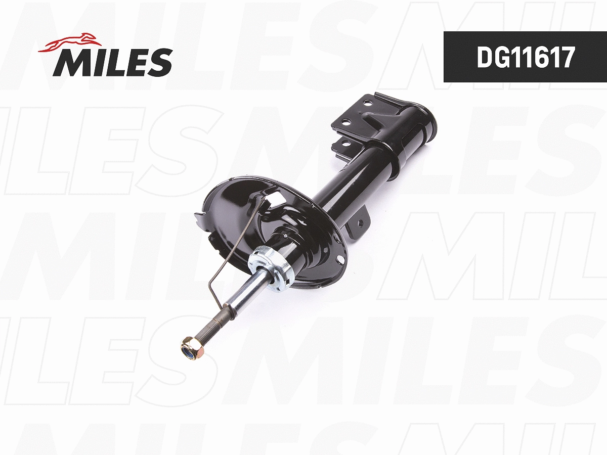 Amortisseur MILES DG11617