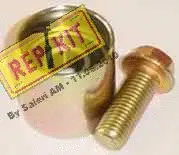 Poulie renvoi/transmission, courroie crantée REPKIT RKT1921