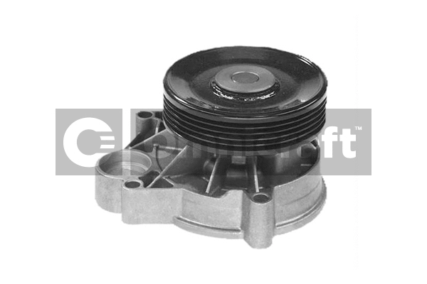 Pompe à eau, refroidissement du moteur Omnicraft 2317348