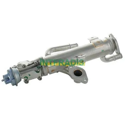 Vanne EGR INTFRADIS 25991