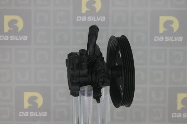 Pompe hydraulique, direction DA SILVA DP3435
