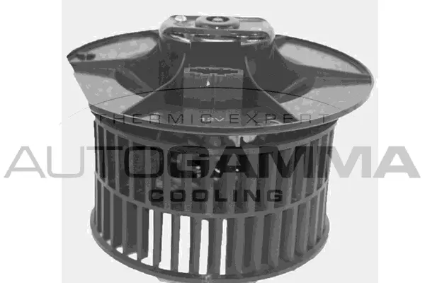 Pulseur d'air habitacle AUTOGAMMA GA34006