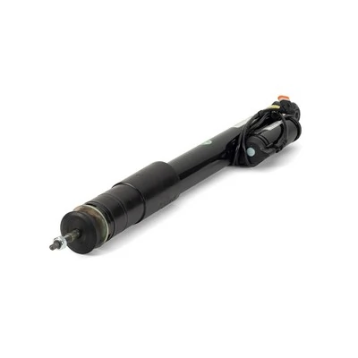 Amortisseur Arnott SK-3199