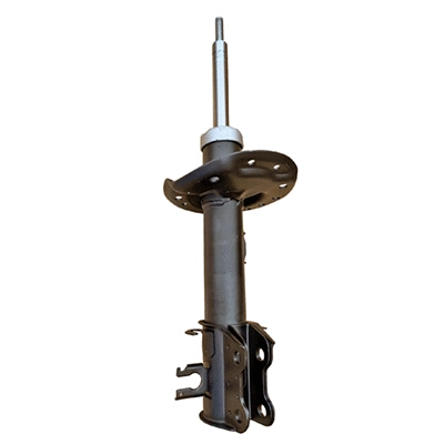 Amortisseur GOOM F210G1599