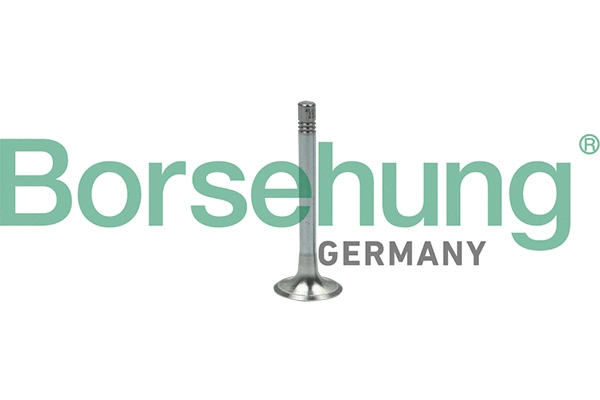 Soupape d'émission Borsehung B18999
