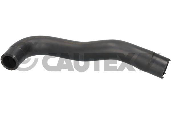 Durite de radiateur CAUTEX 776600