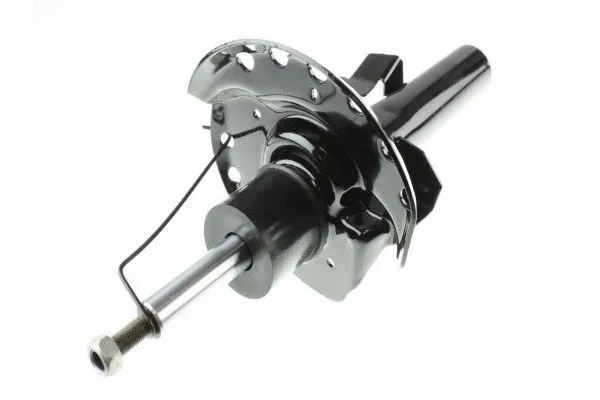 Amortisseur AUTOMEGA 110018010