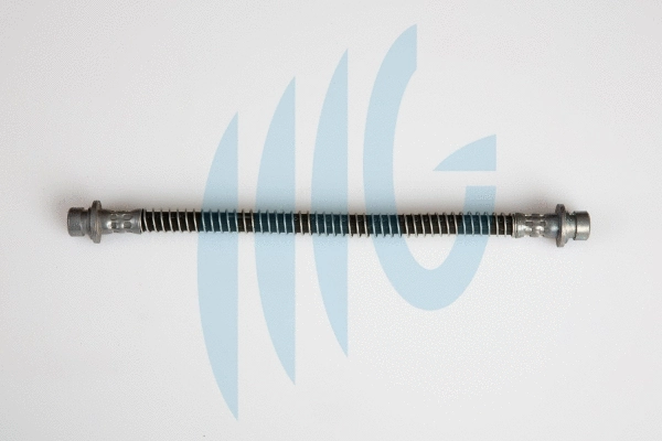 Flexible de frein RICAMBIFLEX GM 02280442