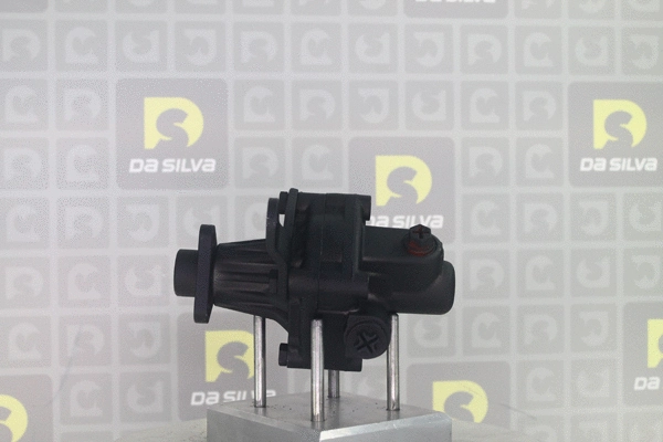 Pompe hydraulique, direction DA SILVA DP2768