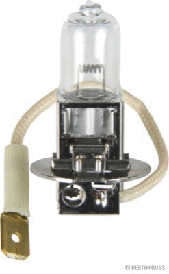 Ampoule, projecteur antibrouillard HERTH+BUSS ELPARTS 89901053