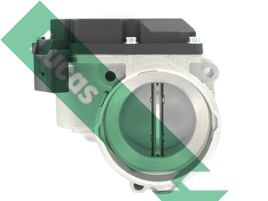 Corps papillon LUCAS LTH481