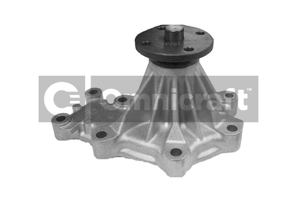 Pompe à eau, refroidissement du moteur Omnicraft 2317407