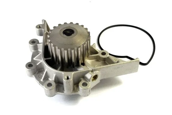 Pompe à eau, refroidissement du moteur THERMOTEC D1P040TT