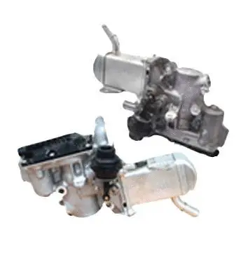 Vanne EGR ASSO 70.0084