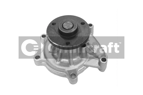 Pompe à eau, refroidissement du moteur Omnicraft 2317181