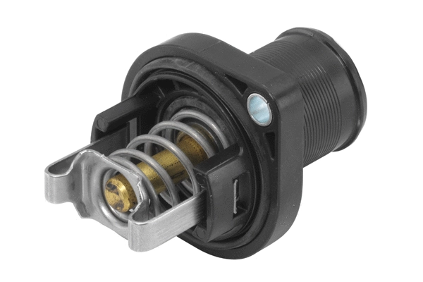 Thermostat, liquide de refroidissement BorgWarner (Wahler) 3463.89D