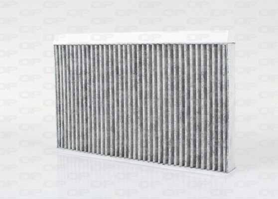 Filtre, air de l'habitacle OPEN PARTS CAF2172.11