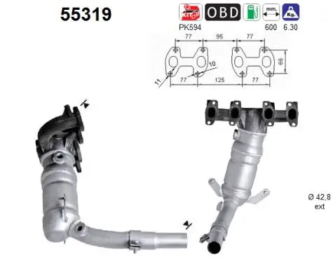 Catalyseur AS 55319