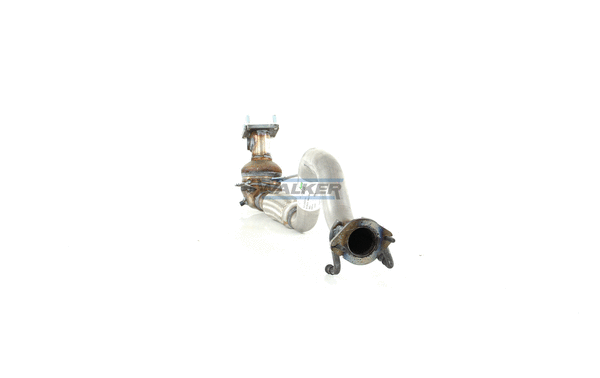 Catalyseur WALKER 28149