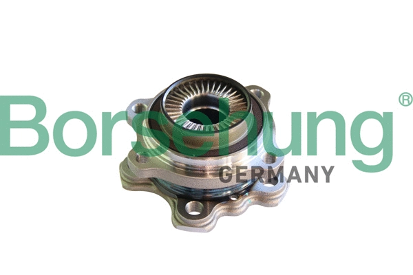 Kit de roulements de roue Borsehung B11293