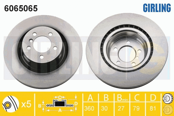 Disque de frein GIRLING 6065065