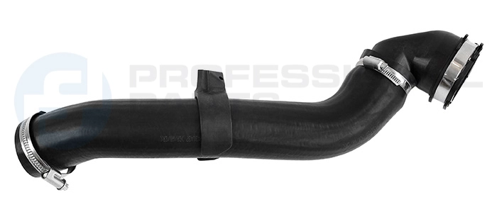 Gaine de suralimentation Professional Parts 87431230