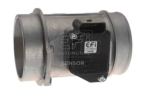 Débitmètre de masse d'air EFI AUTOMOTIVE 305120