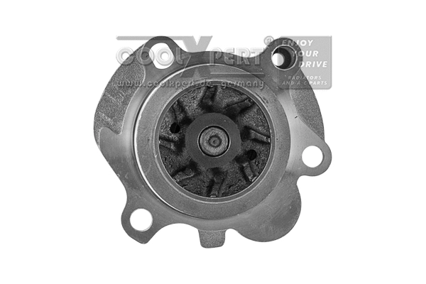 Pompe à eau, refroidissement du moteur BBR Automotive 001-10-19263