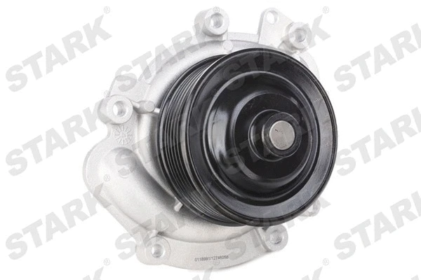 Pompe à eau, refroidissement du moteur Stark SKWP-0520269