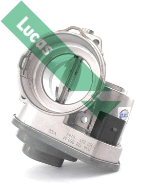 Corps papillon LUCAS LTH444