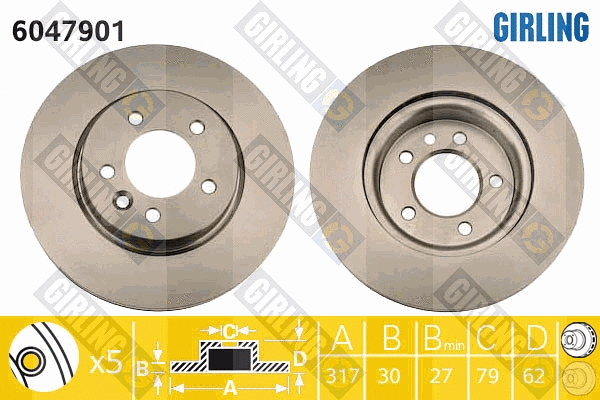 Disque de frein GIRLING 6047901