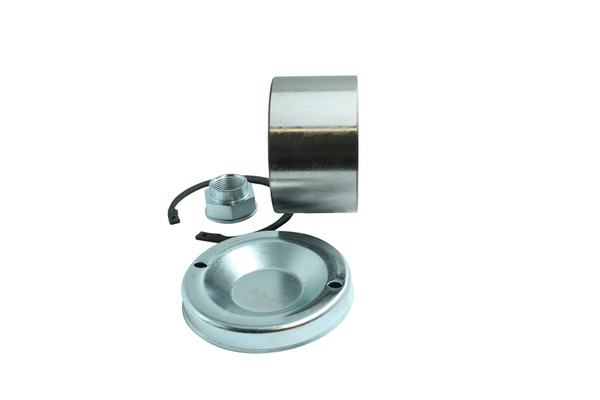 Kit de roulements de roue PowerMax 86110285