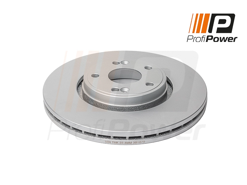 Disque de frein ProfiPower 3B1079