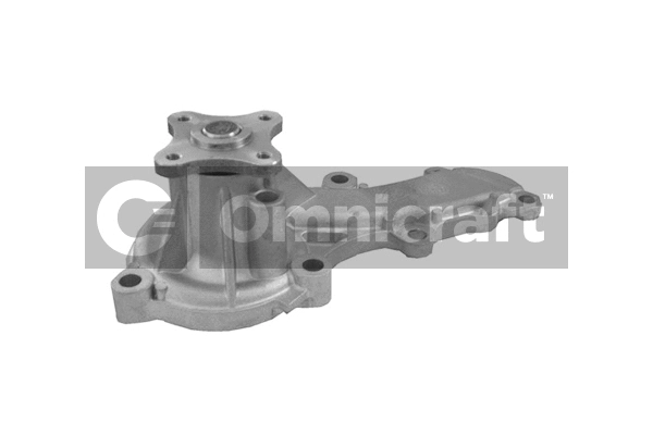 Pompe à eau, refroidissement du moteur Omnicraft 2317119