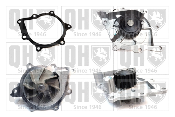 Pompe à eau, refroidissement du moteur QUINTON HAZELL QCP3661