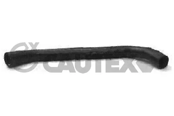 Durite de radiateur CAUTEX 016343