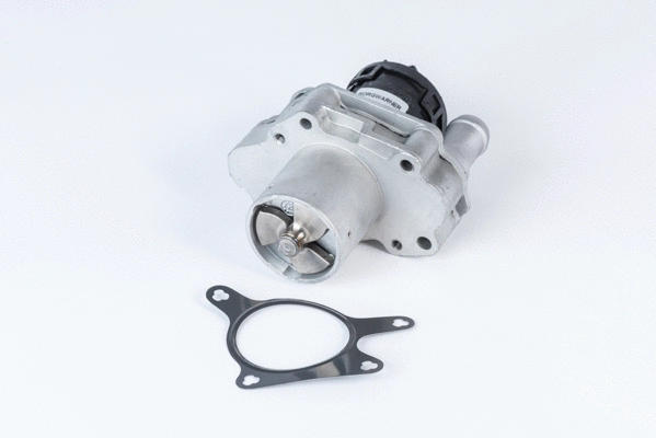Vanne EGR BorgWarner 710471R