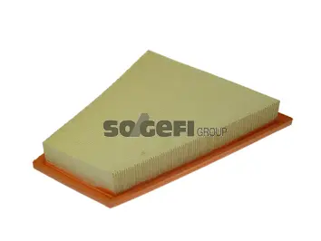 Filtre à air FRAM CA10994