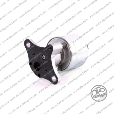 Vanne EGR DIPASPORT EGR547DLPN