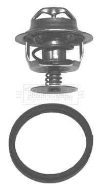 Thermostat, liquide de refroidissement BORG & BECK BBT021