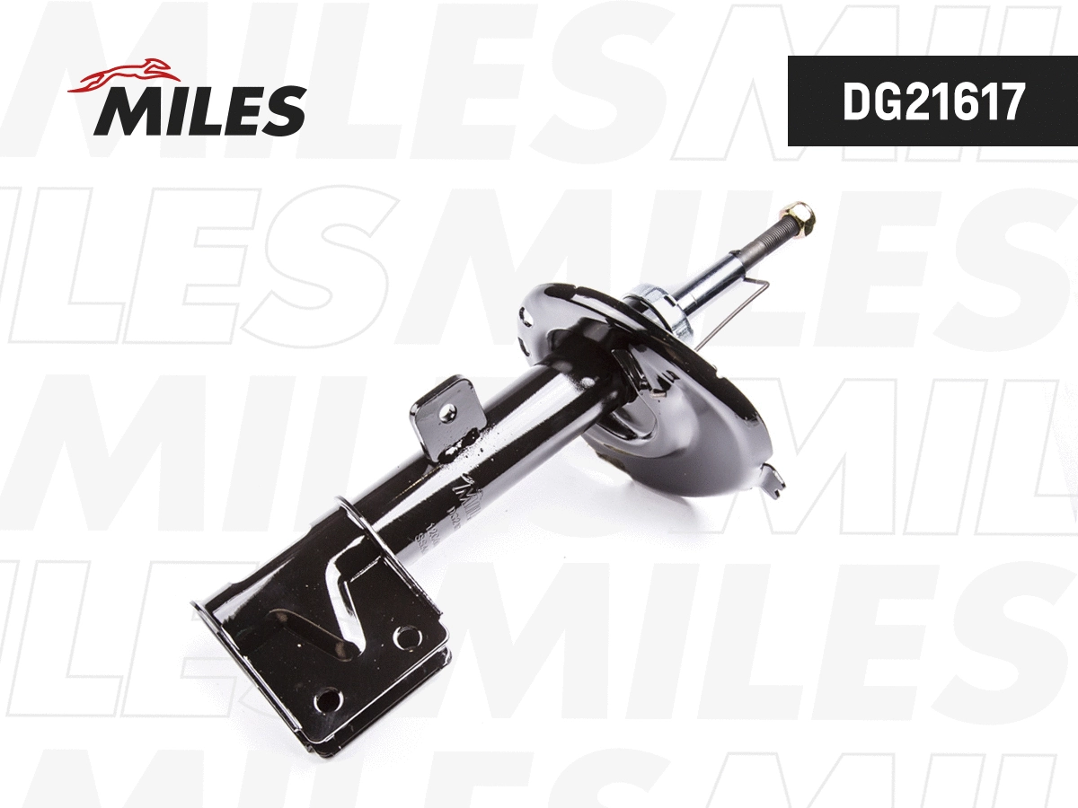 Amortisseur MILES DG21617