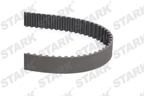Pompe à eau + kit de courroie crantée Stark SKWPT-0750019