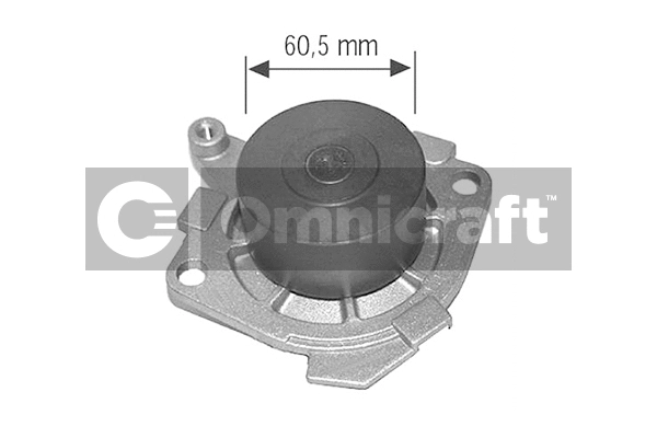 Pompe à eau, refroidissement du moteur Omnicraft 2317455